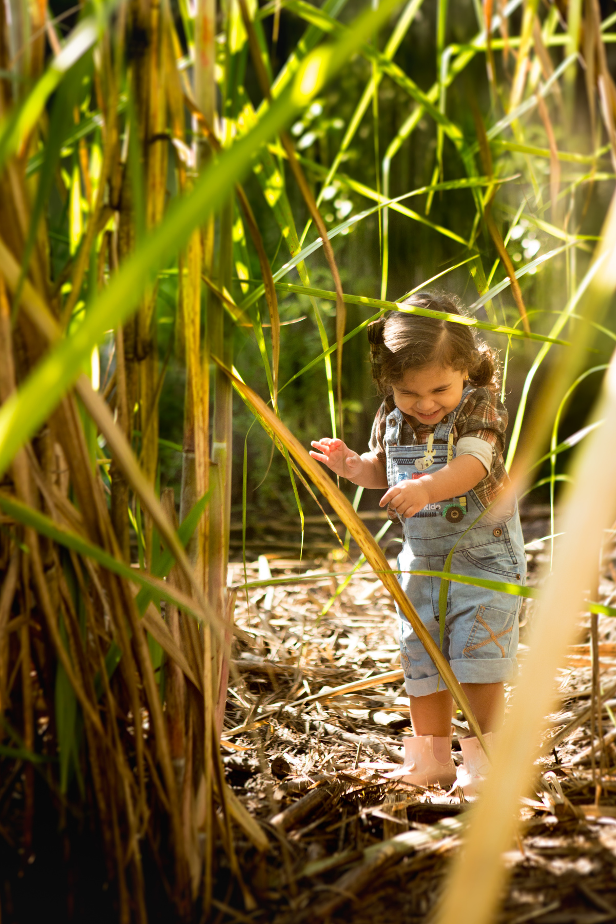 ensaio infantil fazendinha