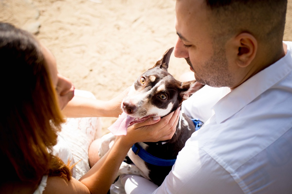 ensaio gestante com cachorro na praia vermelha rio de janeiro