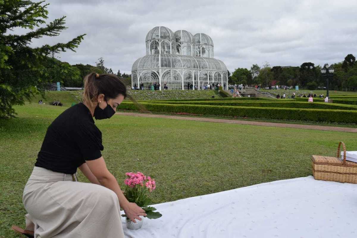 arrumando piquenique