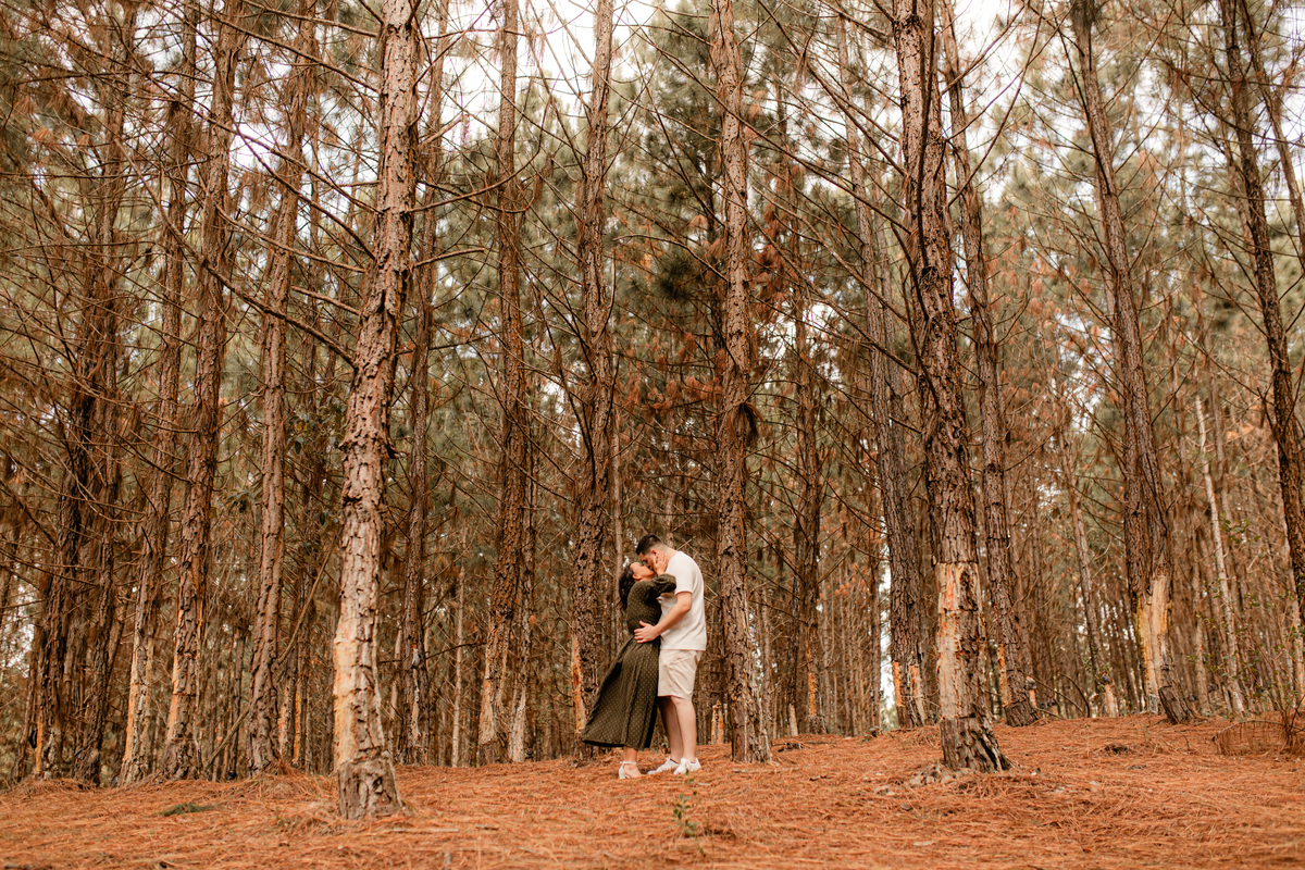 ensaio casal pré wedding paisagem campo