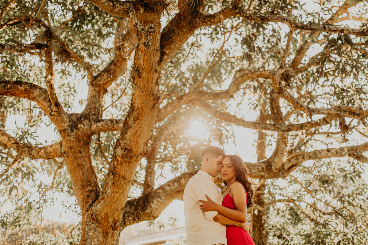 Ensaio Fotográfico Pré Wedding Noivos fazenda por do sol