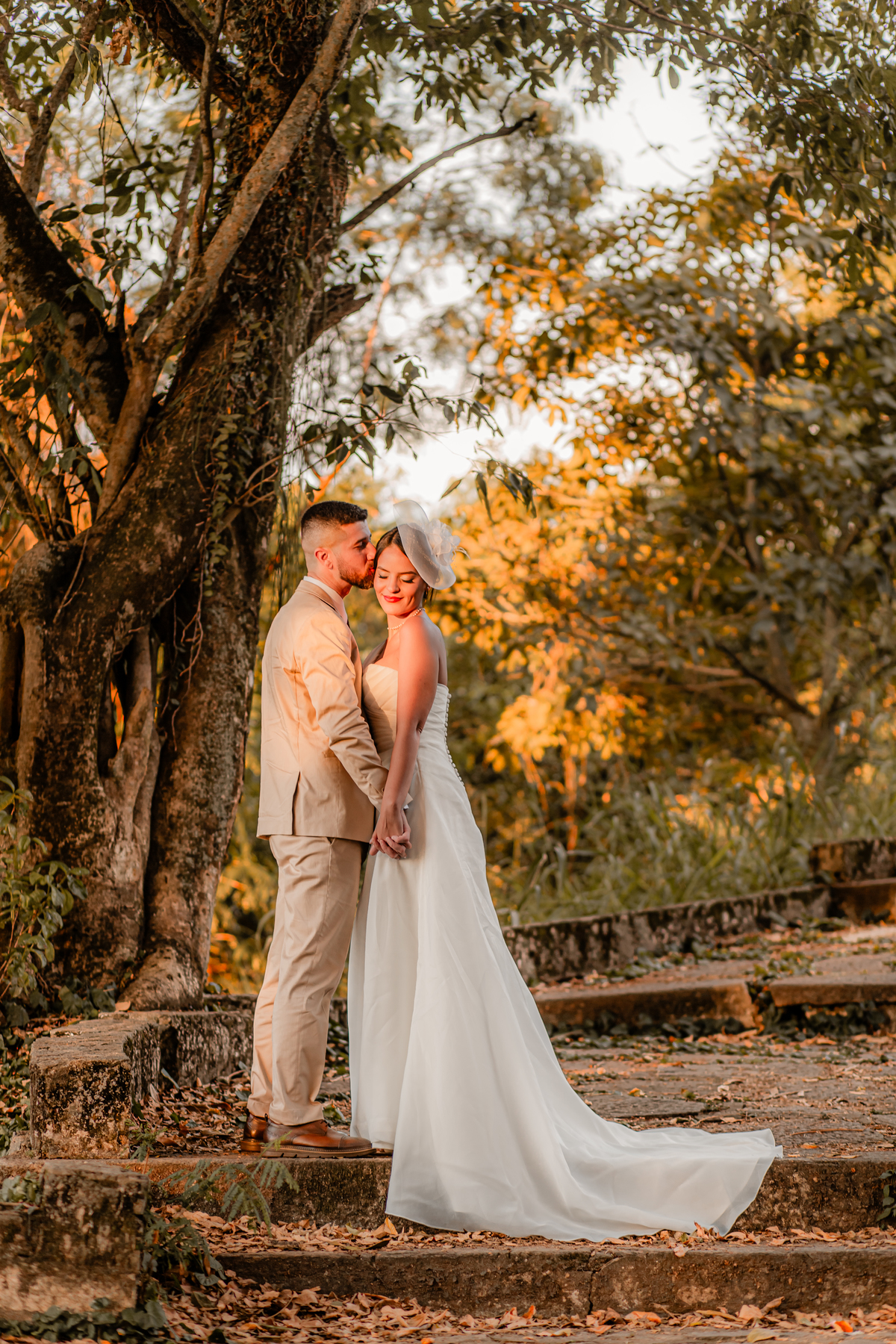 Casamento Civil Noiva Noivos Amor Emoção Ensaio Casamento Pré Wedding