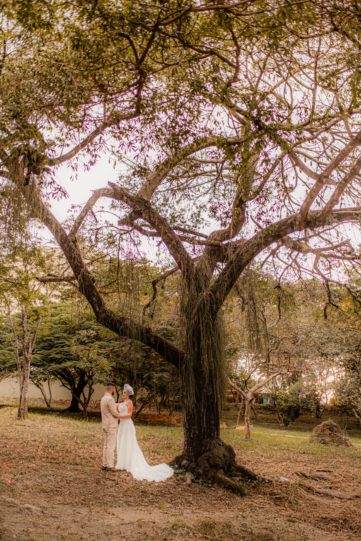 Casamento Civil Noiva Noivos Amor Emoção Ensaio Casamento Pré Wedding