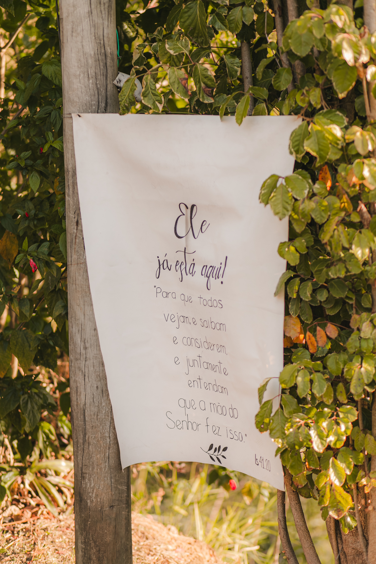 Casamento Vestido de Noiva Por do Sol Amor Noivos Montanha Emoção Casamento Luxo