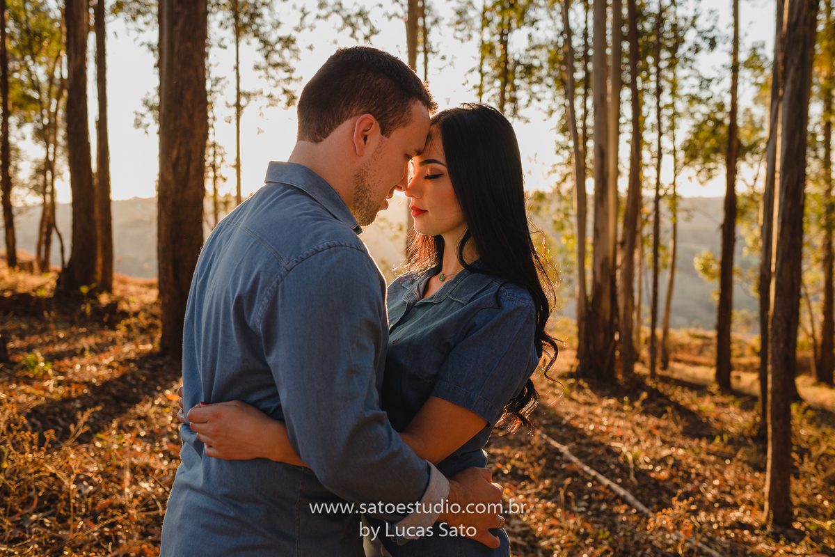 Ensaio no fim de tarde no pôr sol sob os lindos eucaliptos da região de São Gotardo-MG. Vestido para ensaio de casal ou ensaio pré casamento