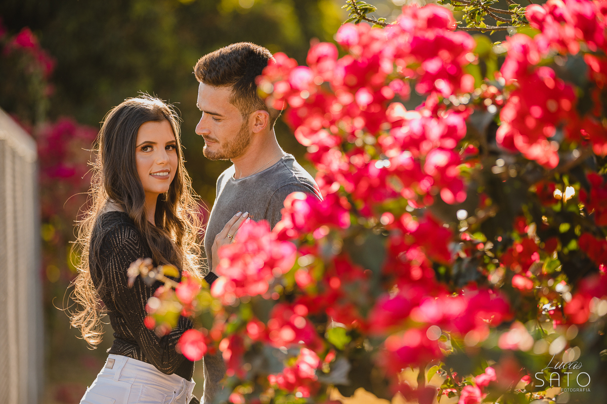Ensaio de casal em meio as flores vermelhas do sítio em São Gotardo-MG