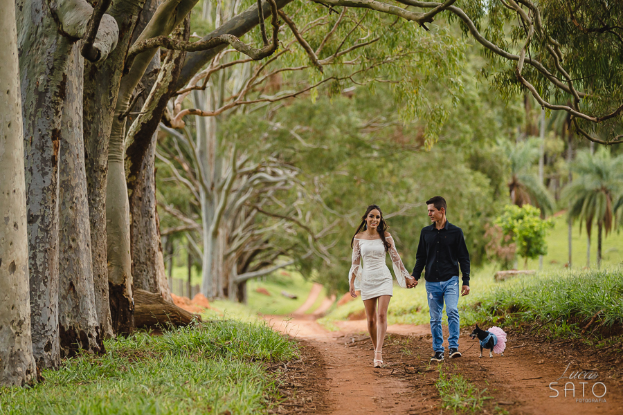 Foto de casal em eucaliptos acompanhado da cachorra da família durante o ensaio de casal na região de Matutina-MG