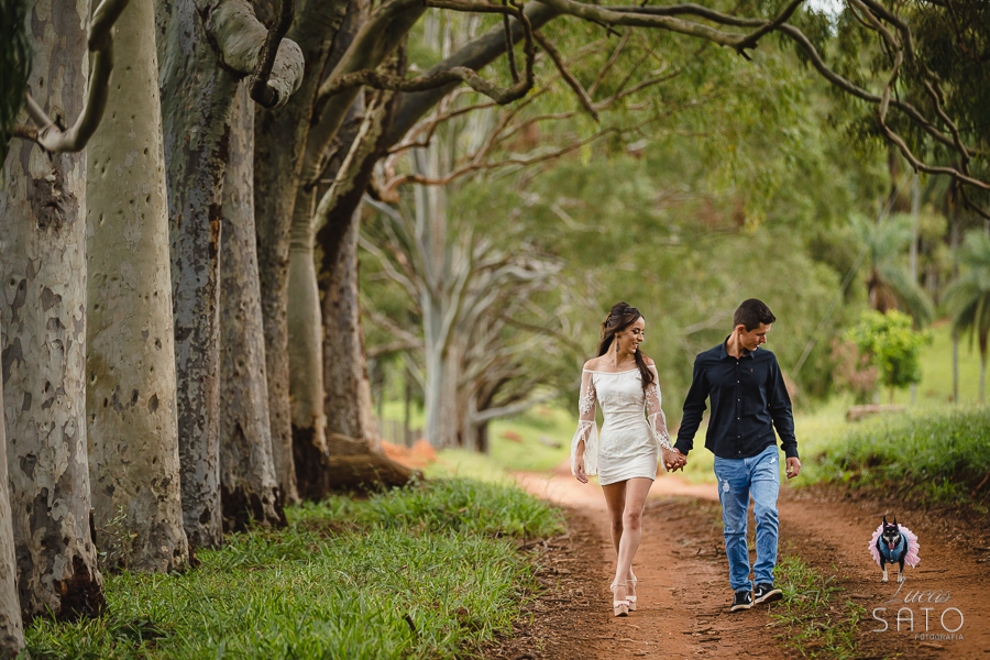 Foto de casal nos eucaliptos durante o ensaio pre wedding realizado na cidade de Matutina-MG e São Gotardo-MG