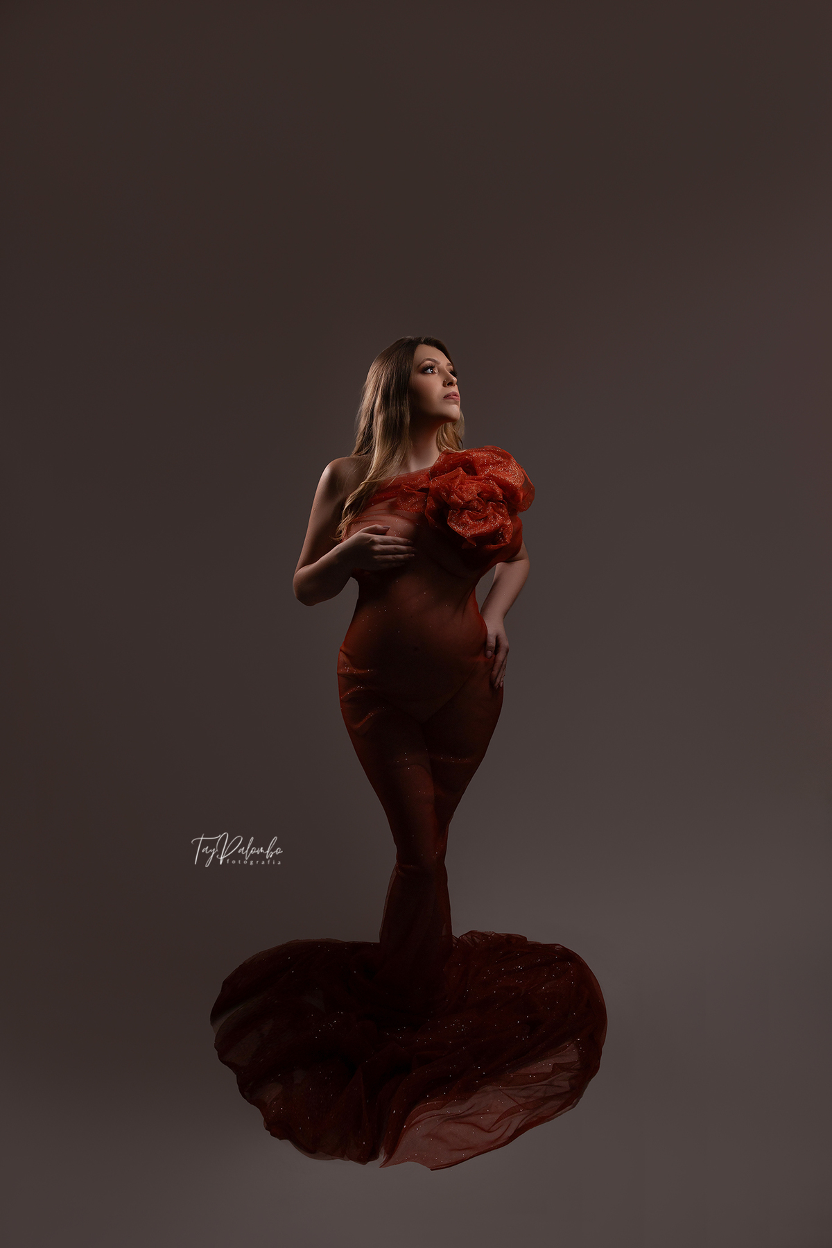 ENSAIO GESTANTE EM ESTÚDIO
ENSAIO GESTANTE NO ABC PAULISTA
FOTOS GESTANTE 