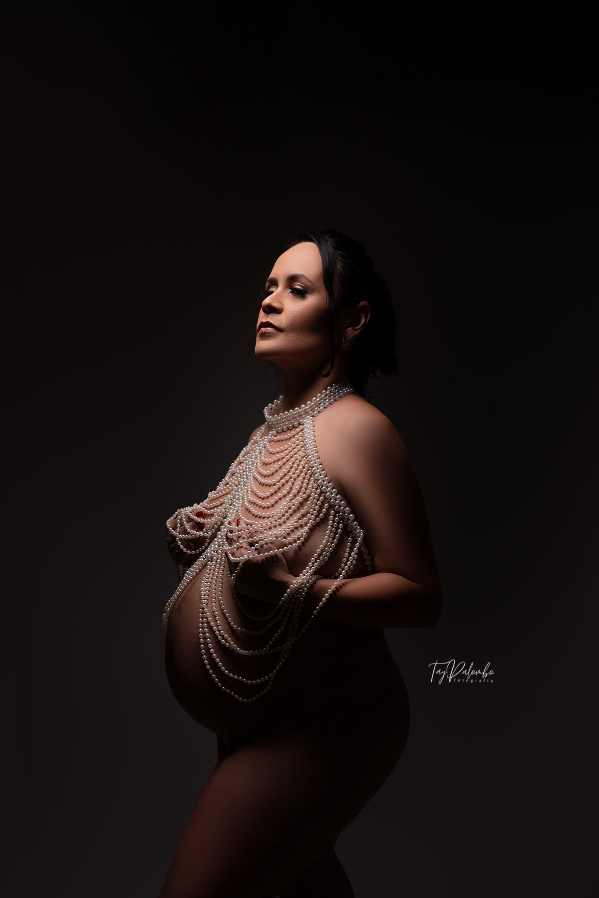 ENSAIO GESTANTE EM ESTÚDIO
ENSAIO GESTANTE NO ABC PAULISTA
FOTOS GESTANTE 