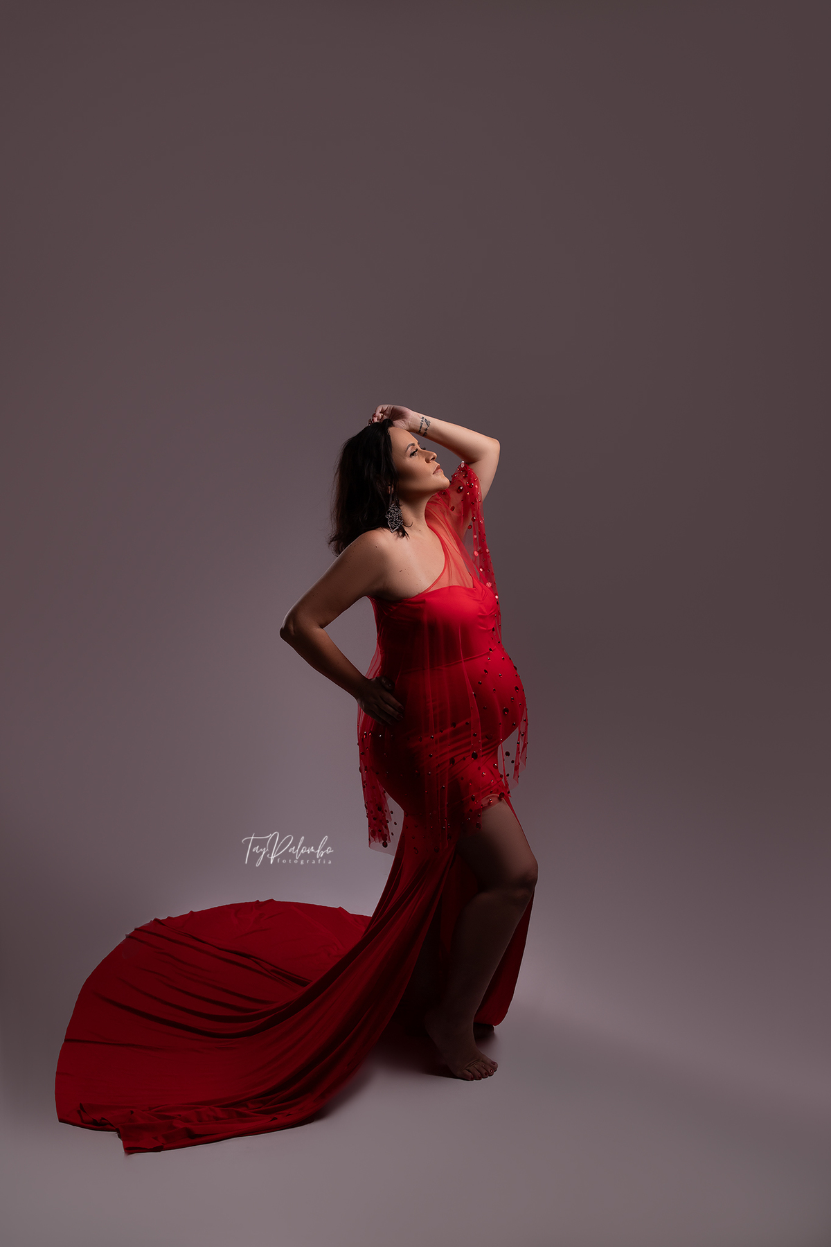 ENSAIO GESTANTE EM ESTÚDIO
ENSAIO GESTANTE NO ABC PAULISTA
FOTOS GESTANTE 