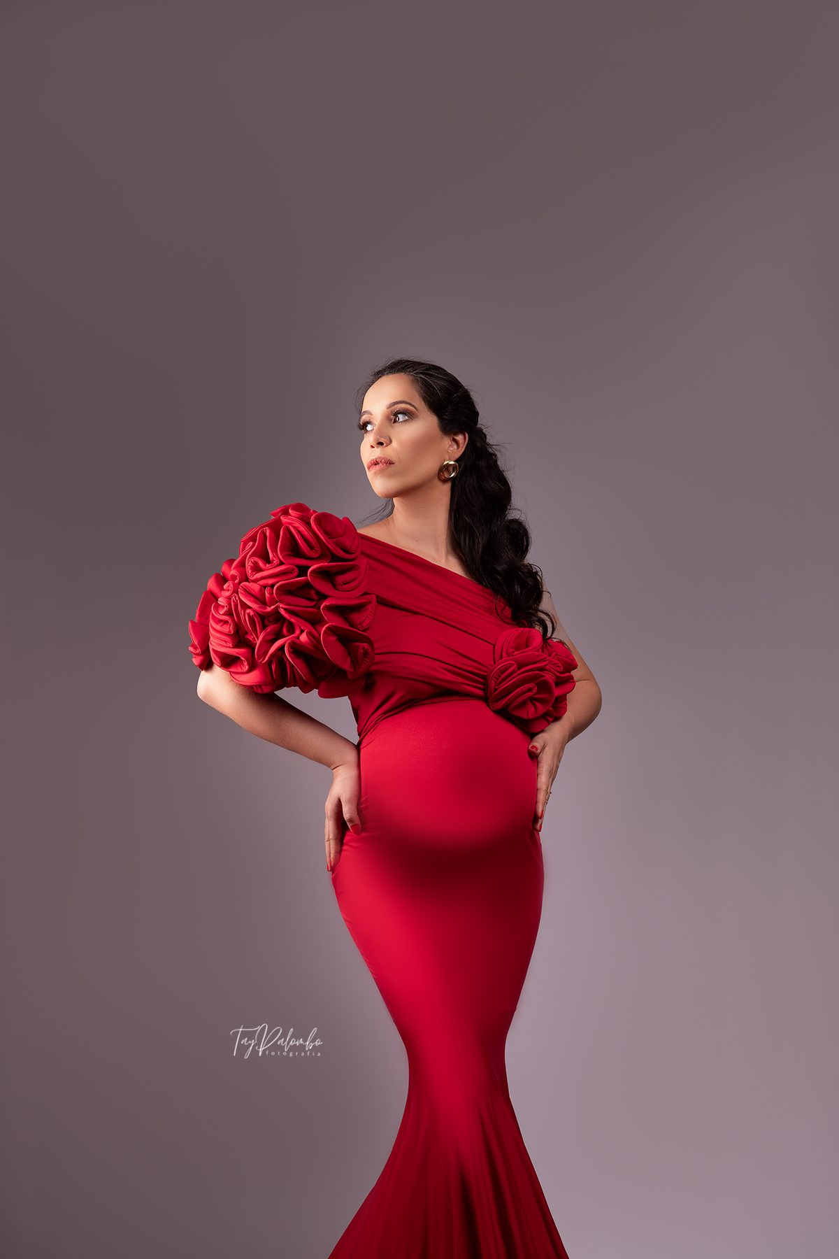 ENSAIO GESTANTE EM ESTÚDIO
ENSAIO GESTANTE NO ABC PAULISTA
FOTOS GESTANTE 