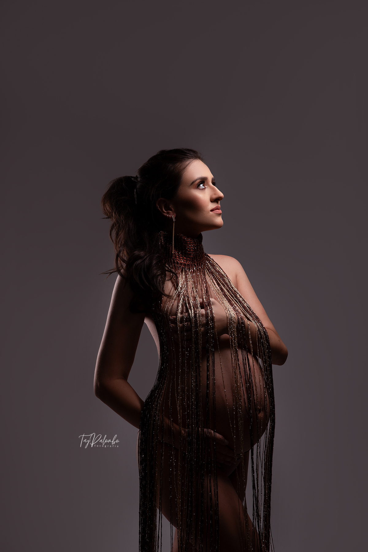 ENSAIO GESTANTE EM ESTÚDIO
ENSAIO GESTANTE NO ABC PAULISTA
FOTOS GESTANTE 