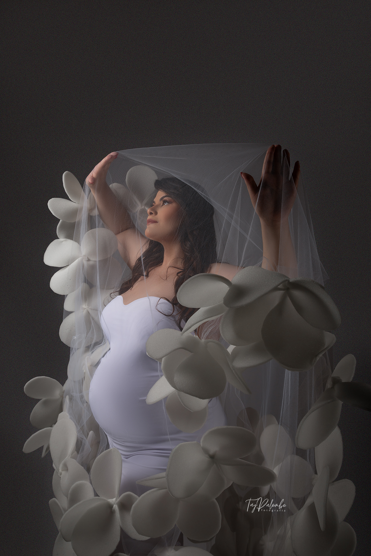 ENSAIO GESTANTE
ENSAIO GESTANTE EM SÃO BERNARDO
GESTANTES ABC PAULISTA