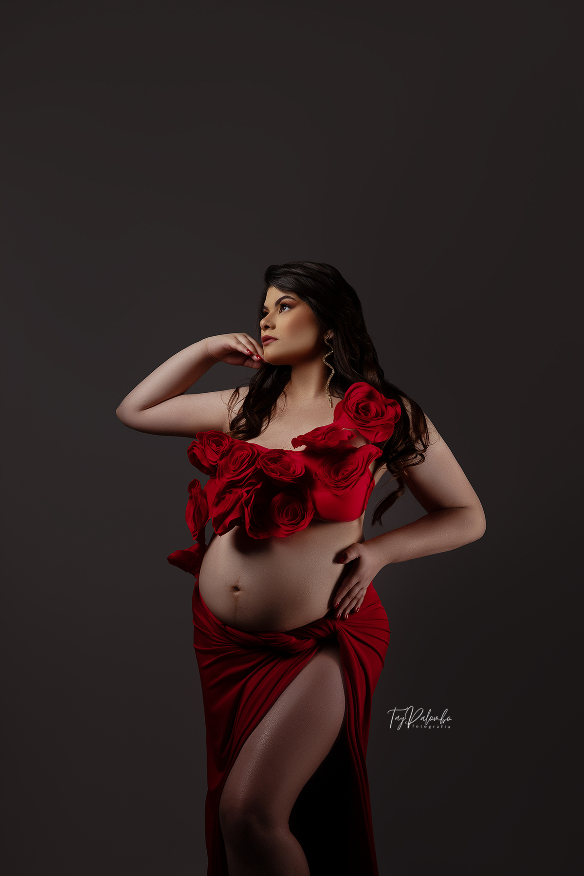 ENSAIO GESTANTE
ENSAIO GESTANTE EM SÃO BERNARDO
GESTANTES ABC PAULISTA