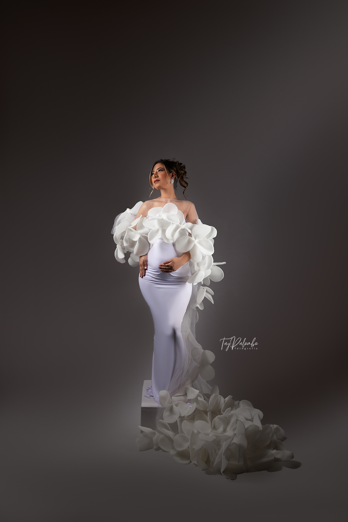 ENSAIO GESTANTE
ENSAIO GESTANTE EM SÃO BERNARDO
GESTANTES ABC PAULISTA