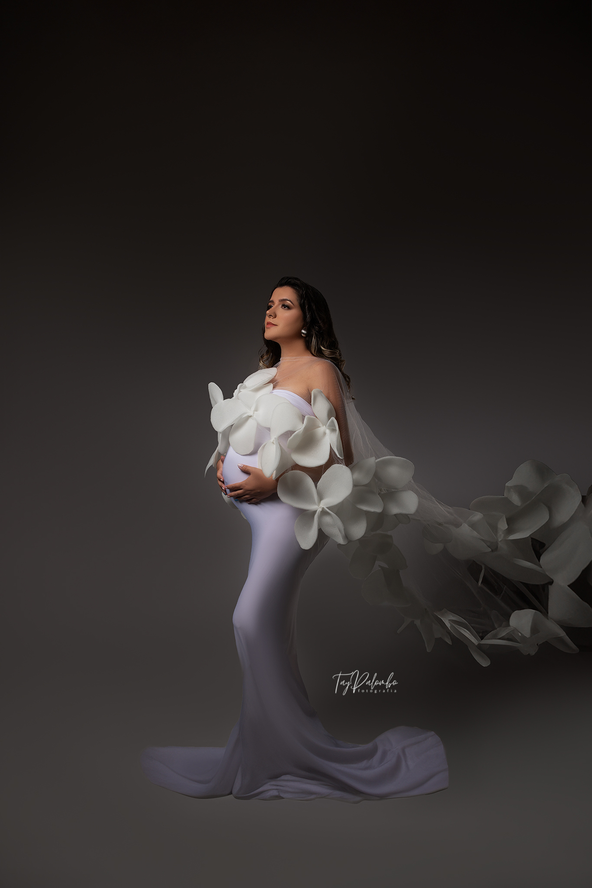 ENSAIO GESTANTE
ENSAIO GESTANTE EM SÃO BERNARDO
GESTANTES ABC PAULISTA