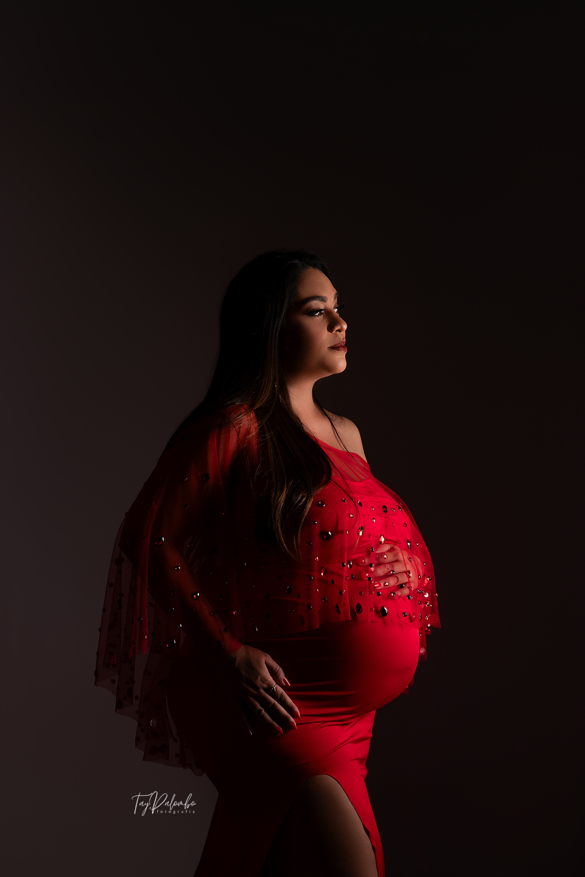 ENSAIO GESTANTE
ENSAIO GESTANTE EM SÃO BERNARDO
GESTANTES ABC PAULISTA