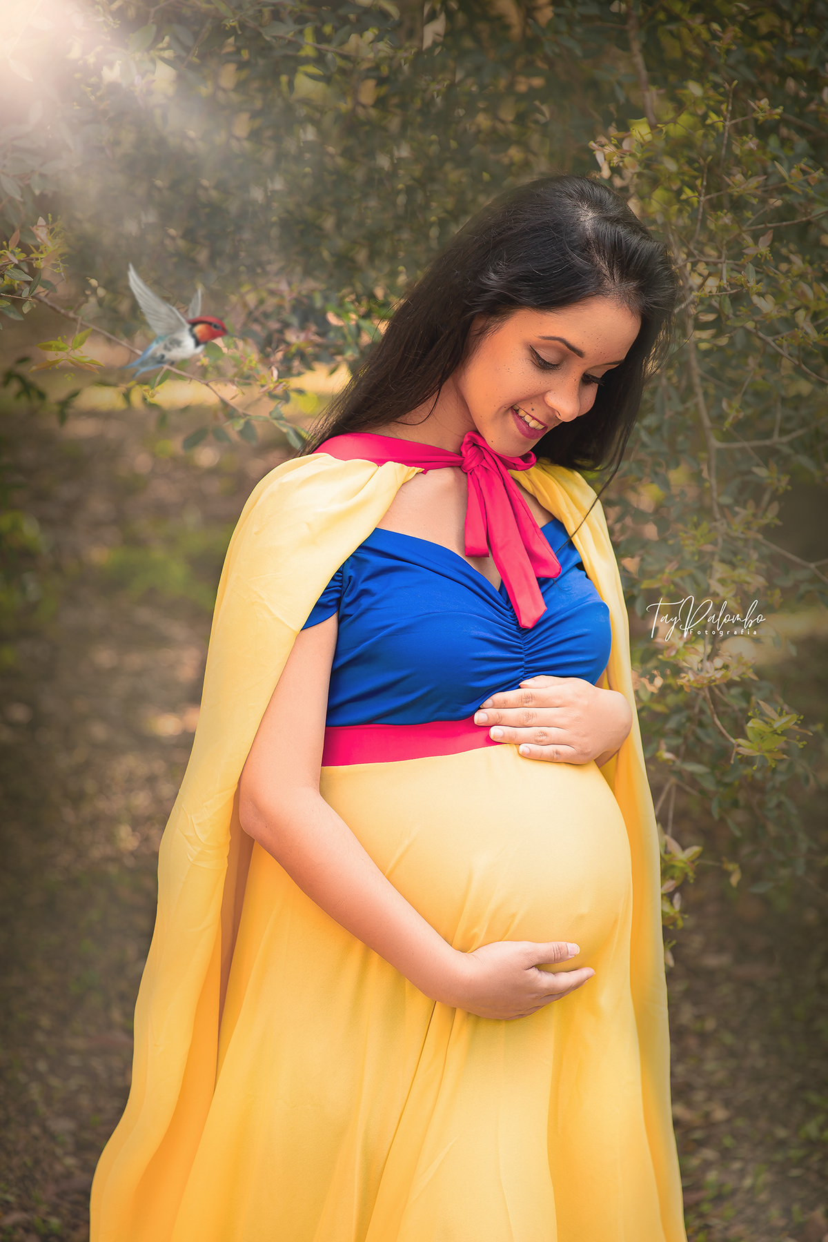 ensaio gestante externo abc paulista