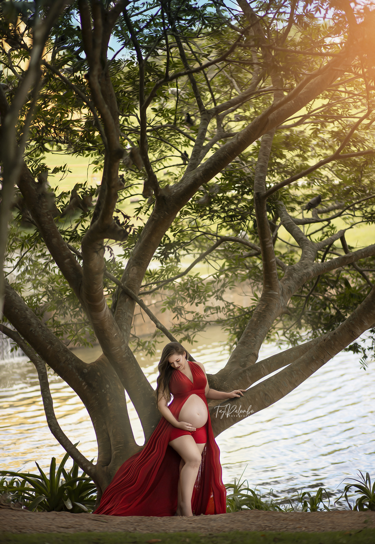 ensaio gestacional sao bernardo do campo 