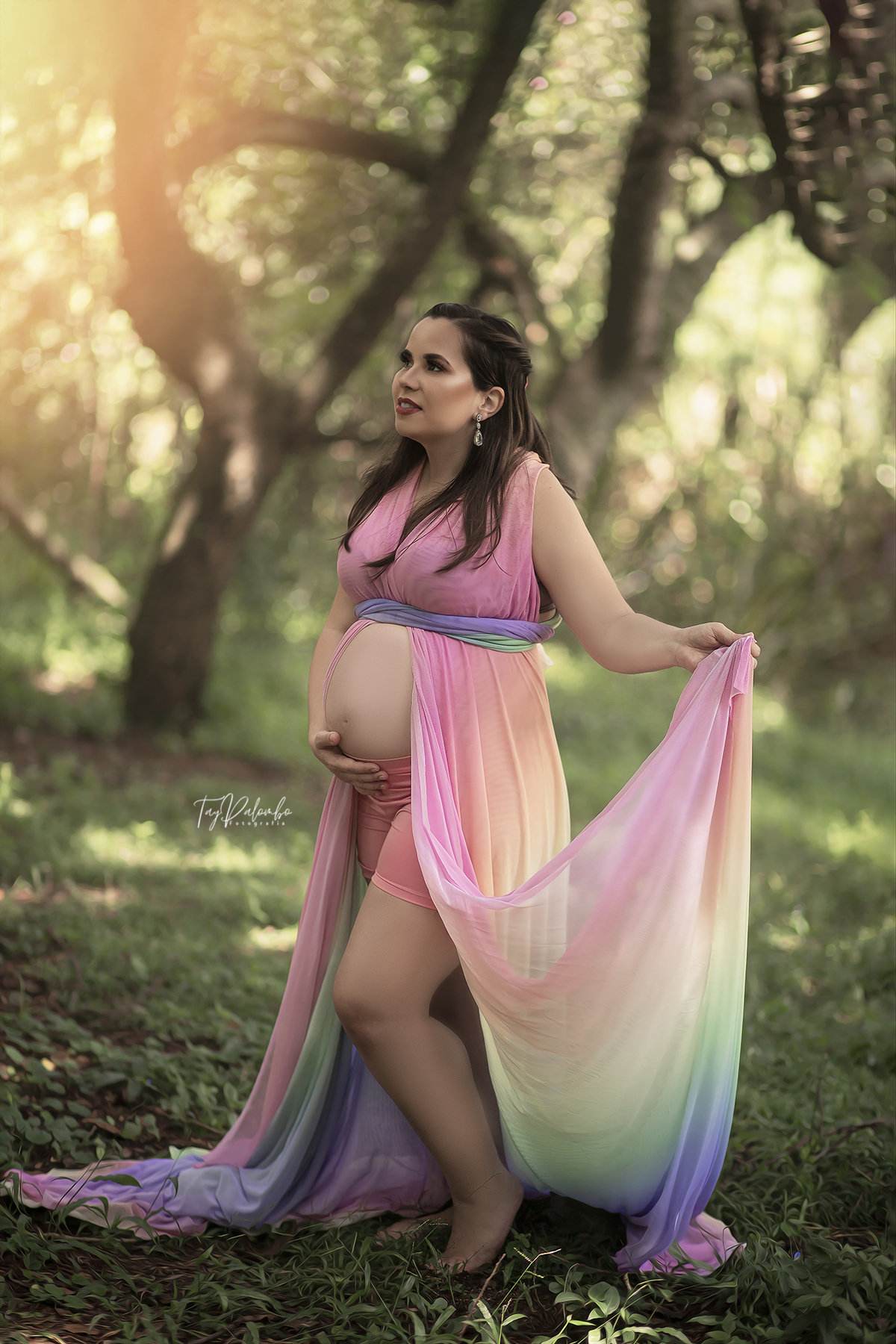 ensaio gestante externo