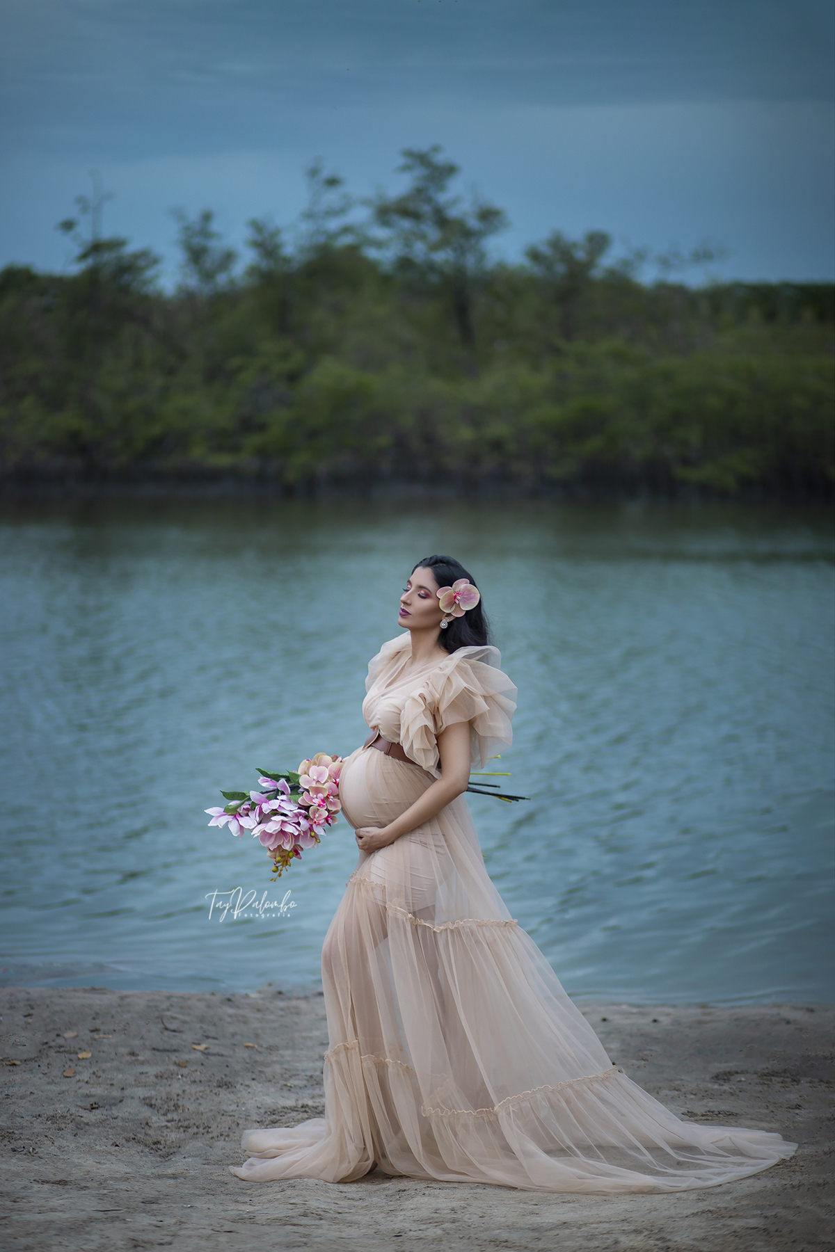 ensaio gestante externo