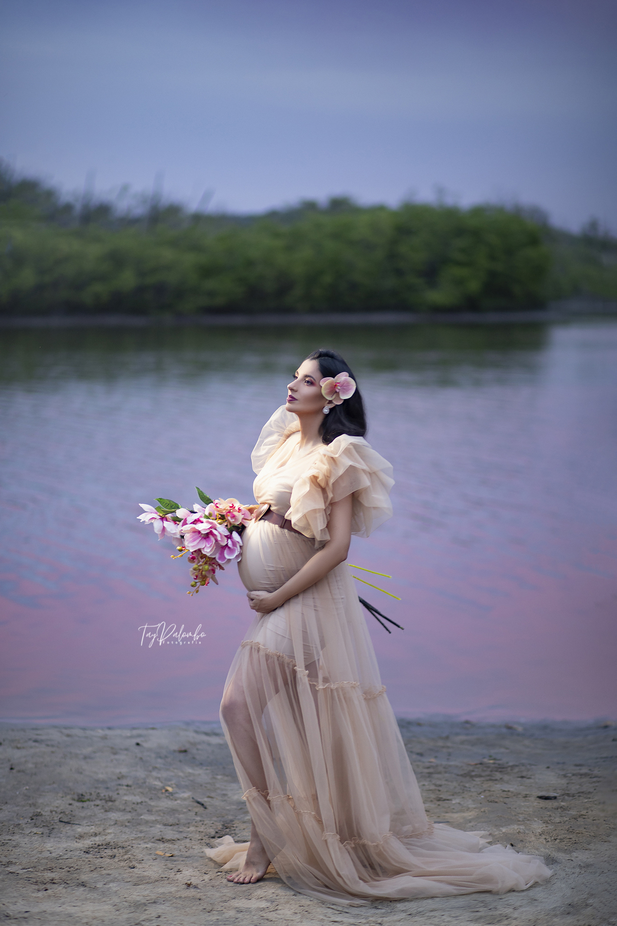 ensaio gestante externo