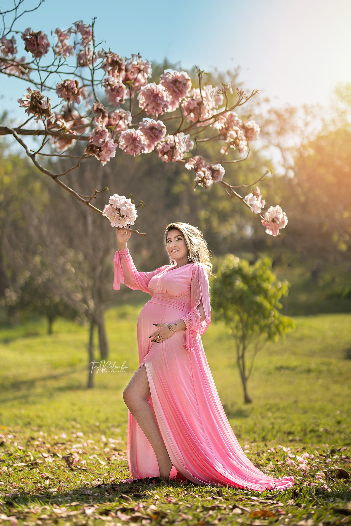 ensaio gestante abc paulista
ensaio gestante santo andre
ensaio gestante sao bernardo do campo
ensaio gestante sao caetano do sul
ensaio gestante externo