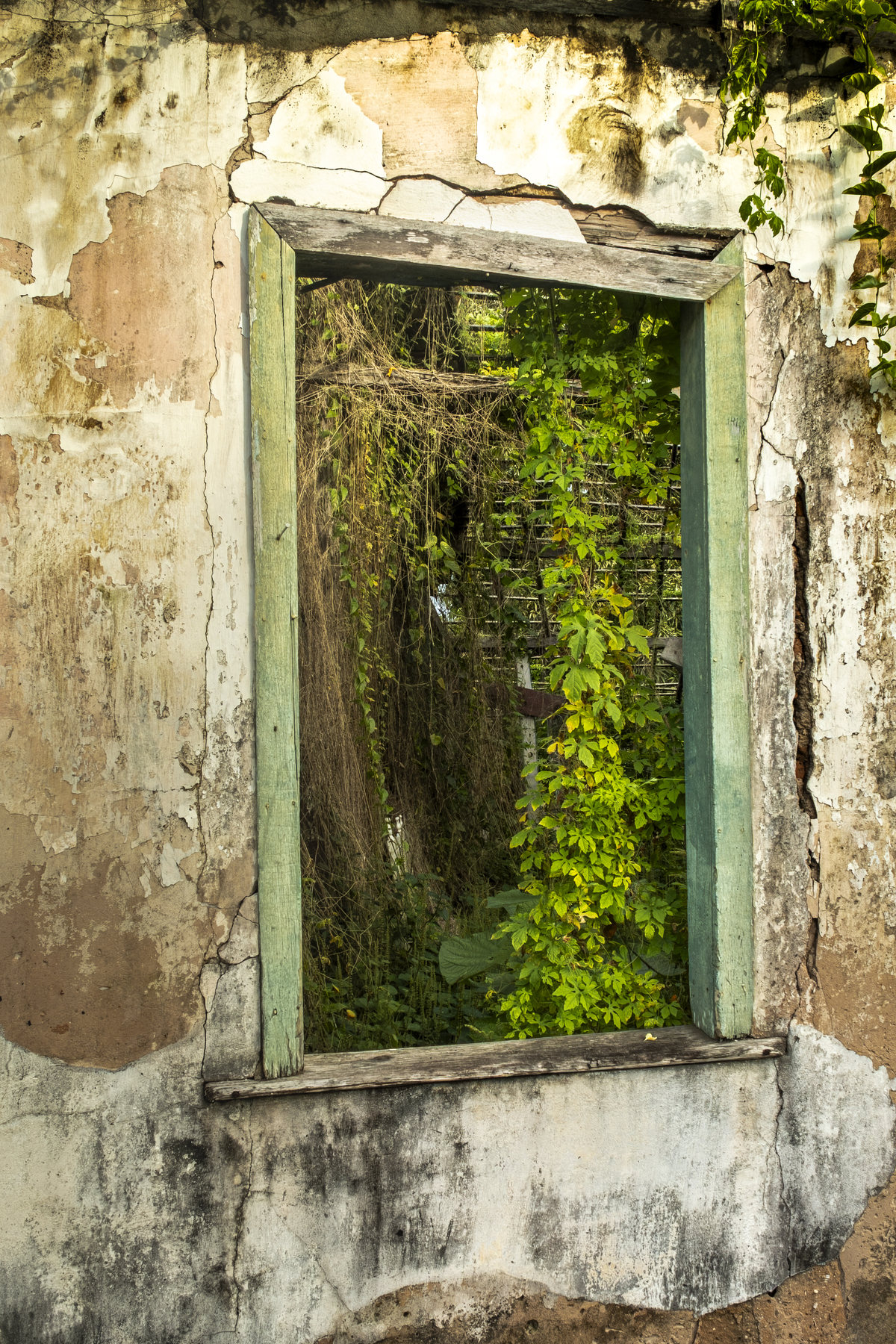 7. Vestígio
Salvador, Brasil — 2022

Ruína reocupada pela natureza como permanência final do que restou.