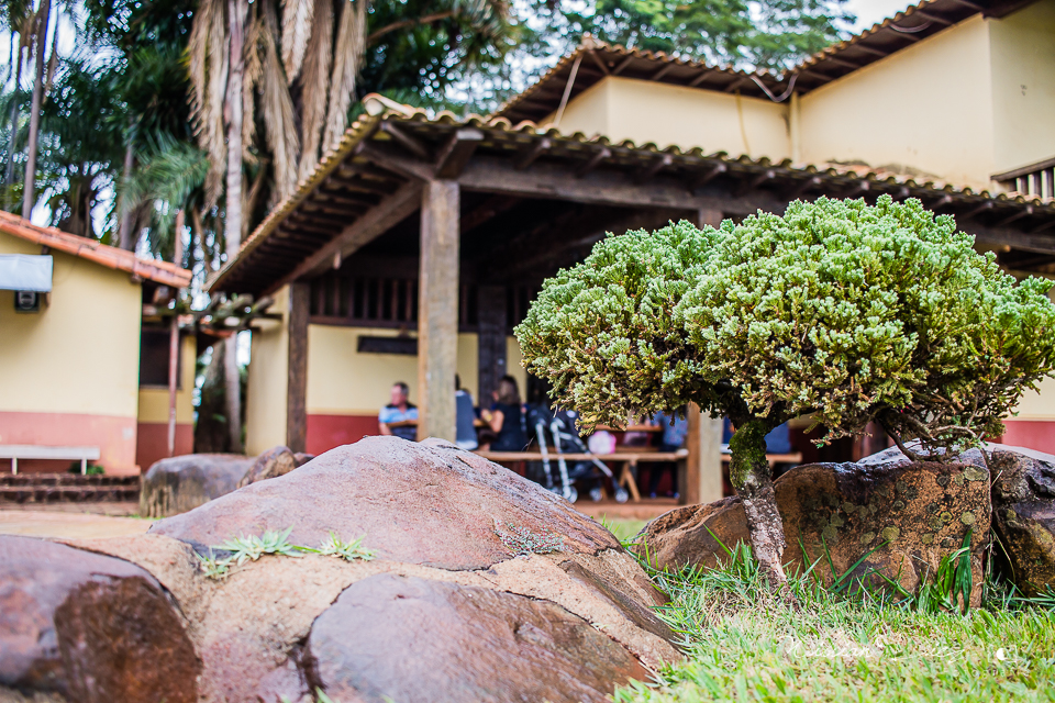 vista alegre fazenda hotel