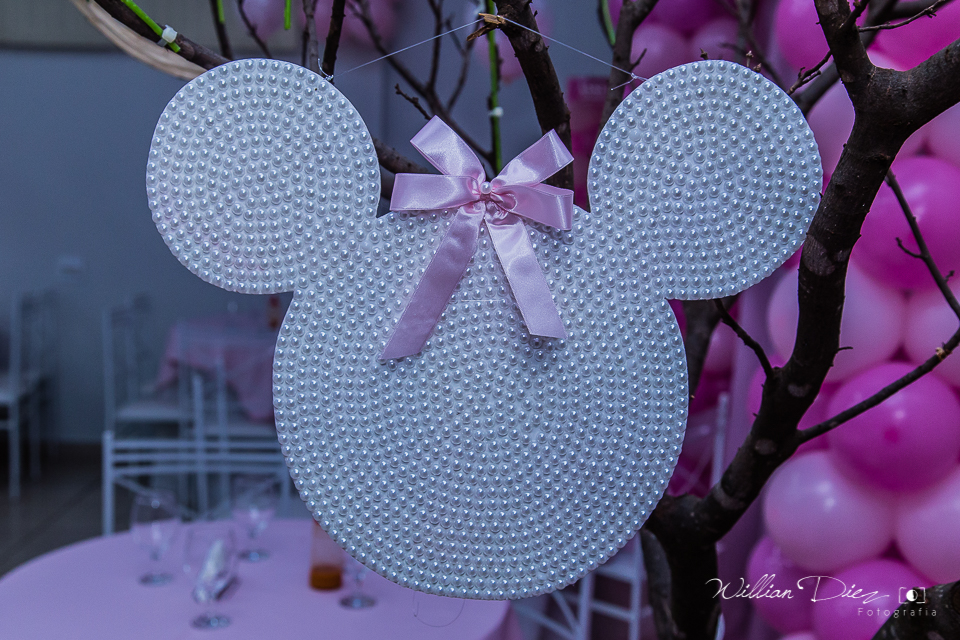 aniversário Infantil