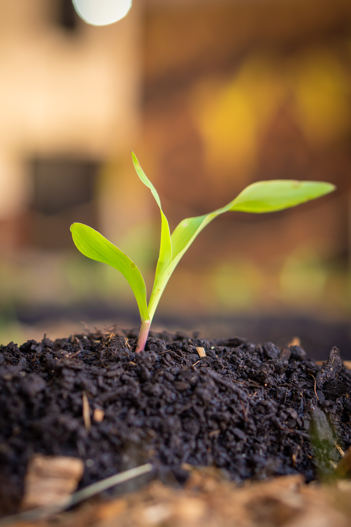 cobertura-fotografica-stand-jumil-na-agrishow-2024