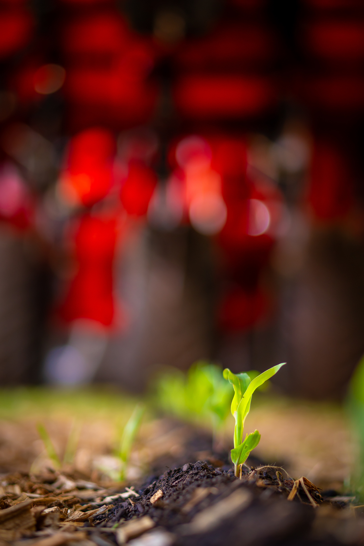 cobertura-fotografica-stand-jumil-na-agrishow-2024