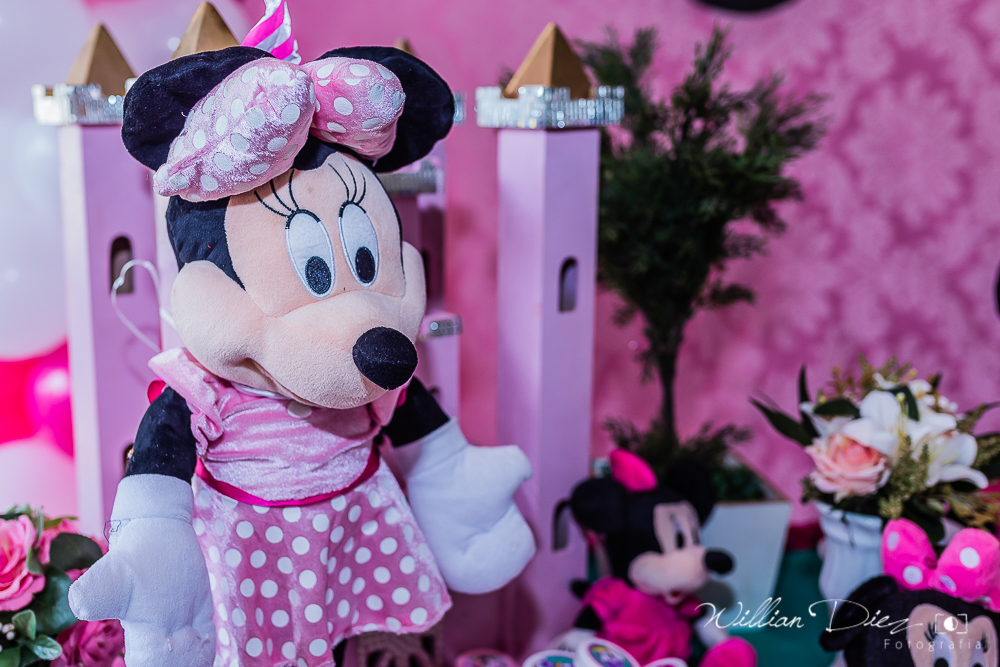 Aniversário Infantil