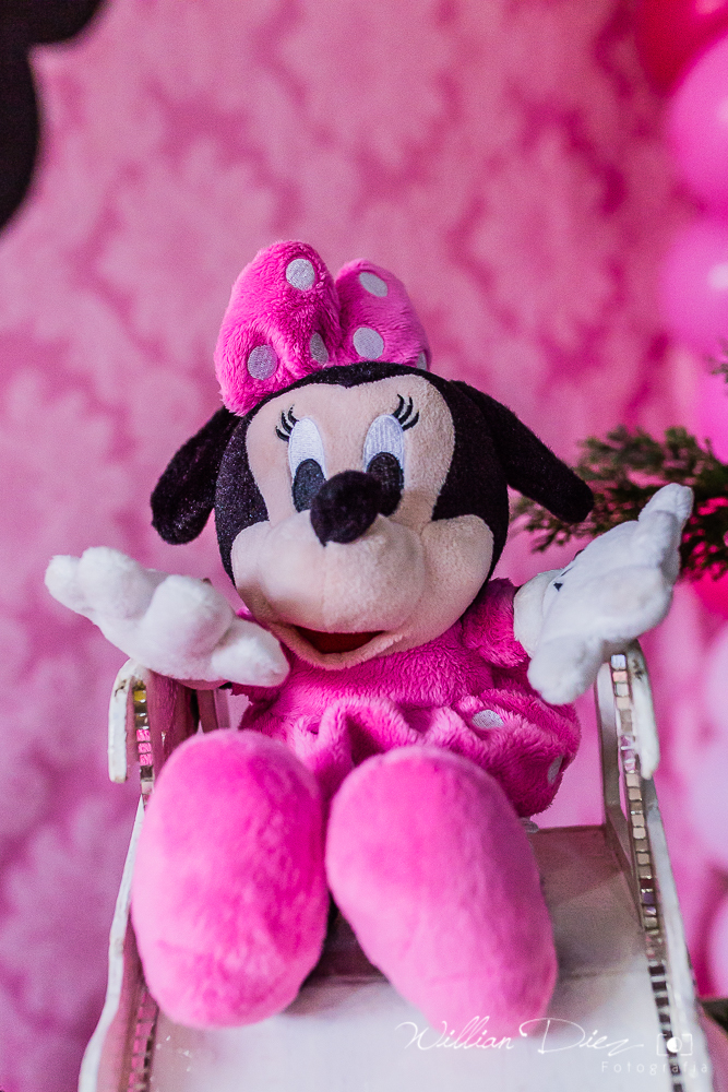 Aniversário Infantil