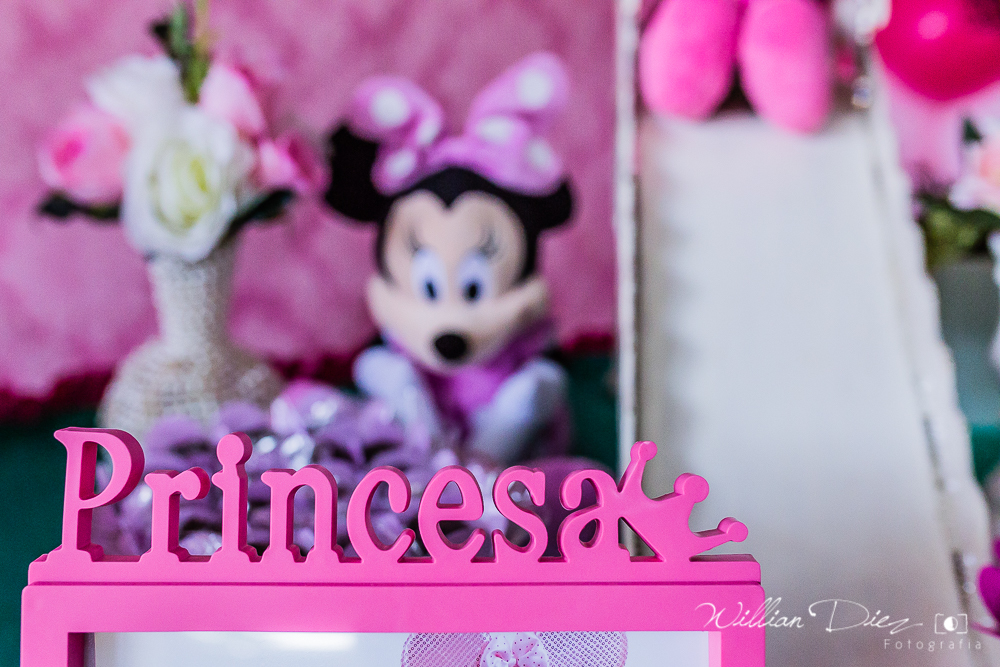 Aniversário Infantil