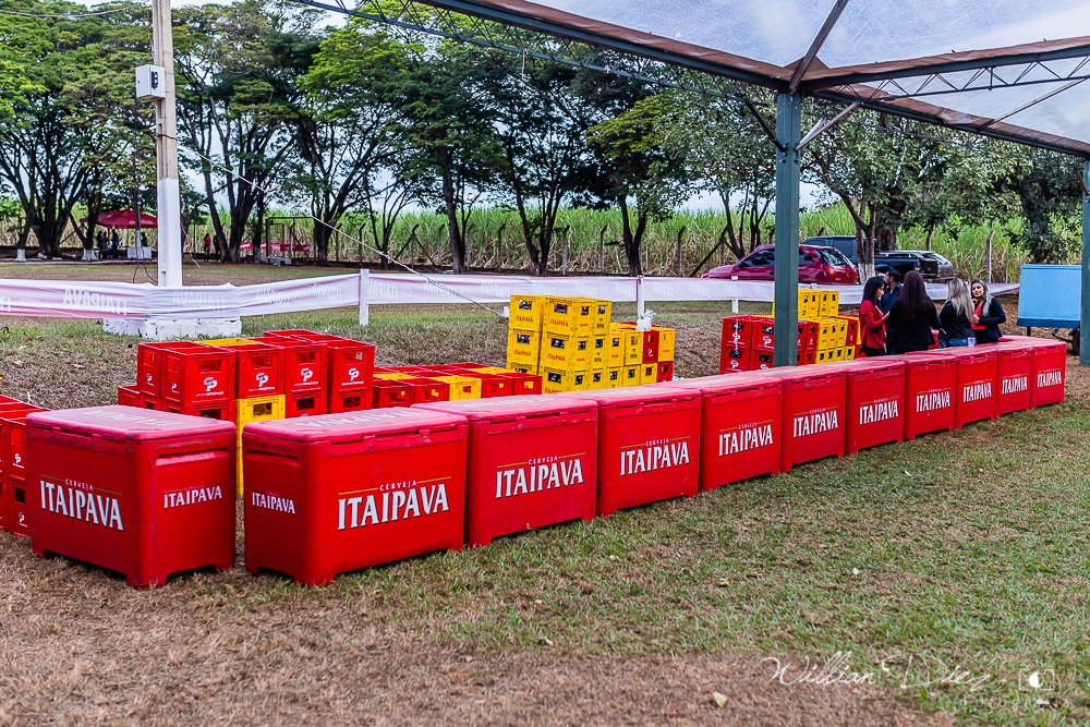 Estrutura Completa