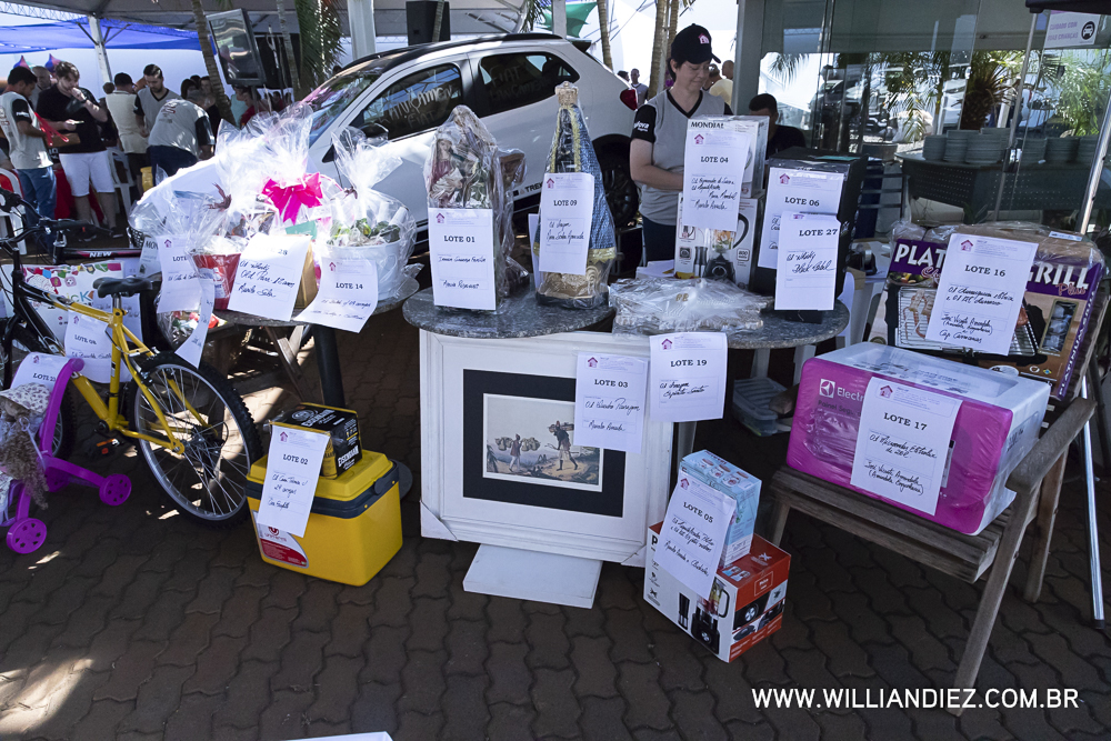 Porco-no-rolete-fiat-padova-sertaozinho