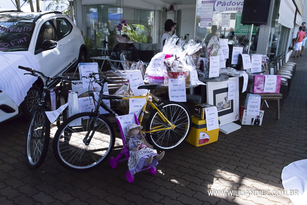 Porco-no-rolete-fiat-padova-sertaozinho