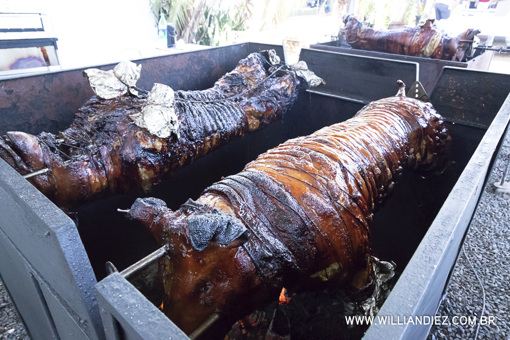 Porco-no-rolete-fiat-padova-sertaozinho