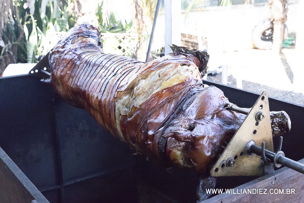 Porco-no-rolete-fiat-padova-sertaozinho