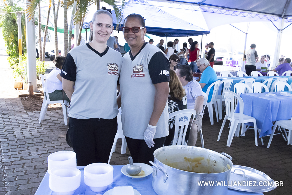 Porco-no-rolete-fiat-padova-sertaozinho