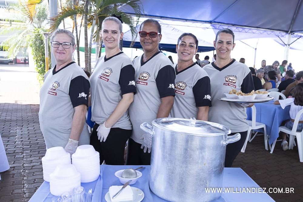 Porco-no-rolete-fiat-padova-sertaozinho