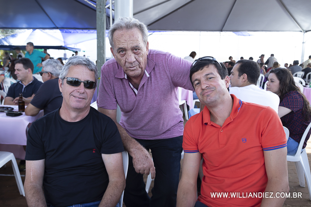 Porco-no-rolete-fiat-padova-sertaozinho