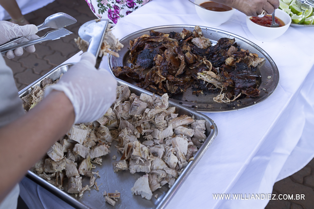 Porco-no-rolete-fiat-padova-sertaozinho