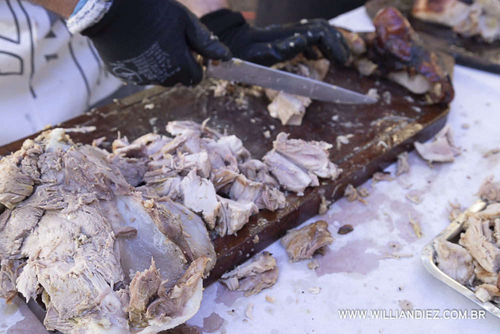 Porco-no-rolete-fiat-padova-sertaozinho