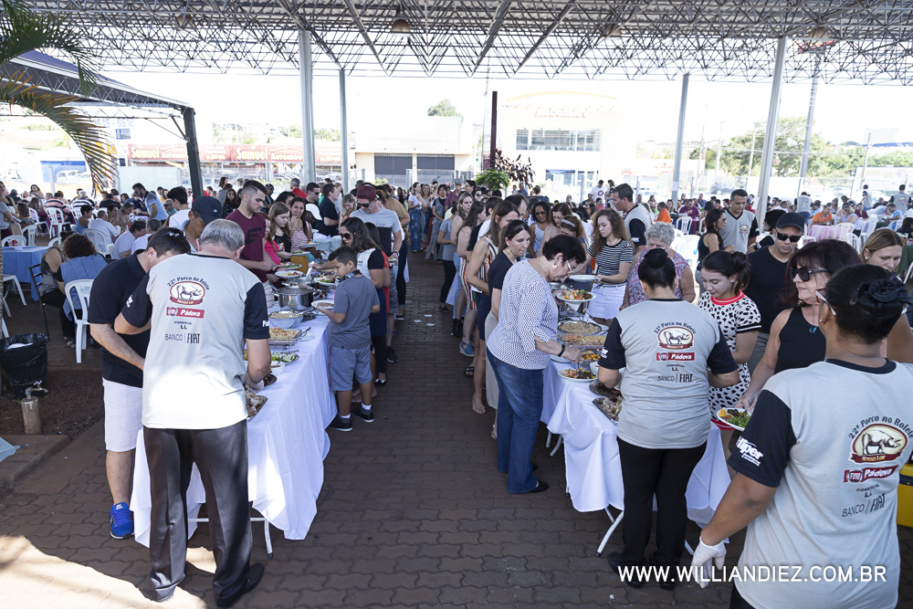 Porco-no-rolete-fiat-padova-sertaozinho