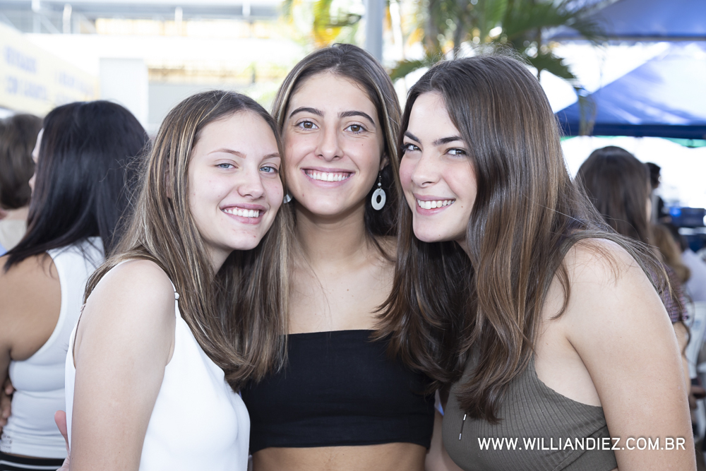 Porco-no-rolete-fiat-padova-sertaozinho