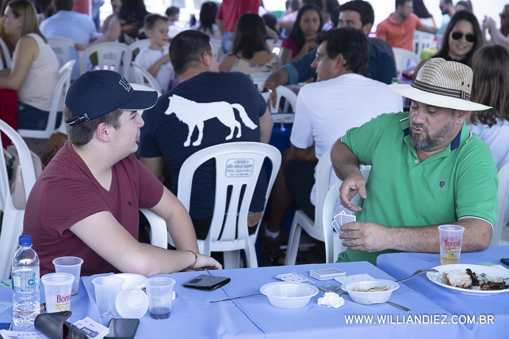 Porco-no-rolete-fiat-padova-sertaozinho
