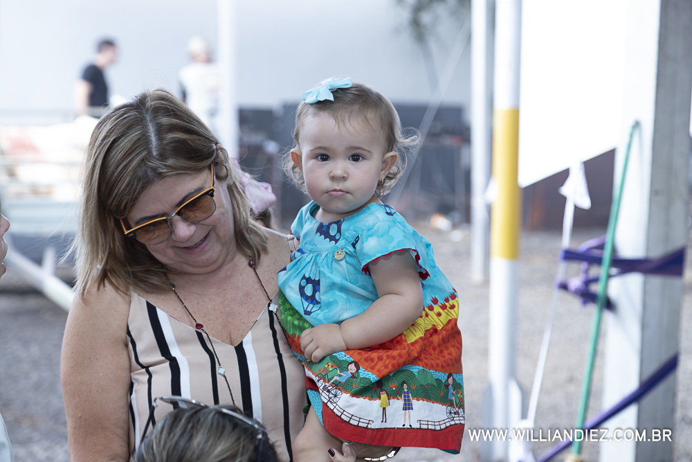 Porco-no-rolete-fiat-padova-sertaozinho